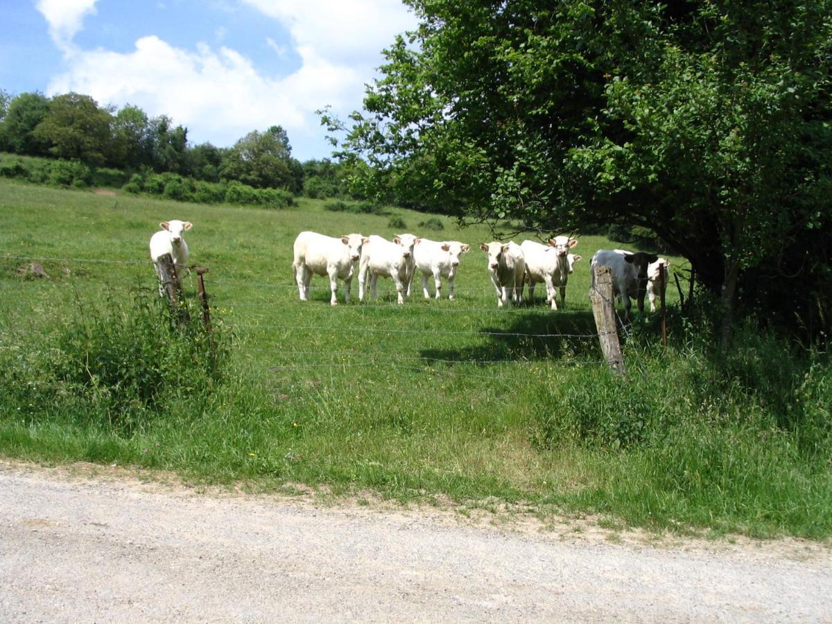 4 Collines Panzió Hagnicourt Kültér fotó